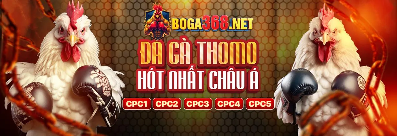 Choang APK Phiên bản mới nhất 2026